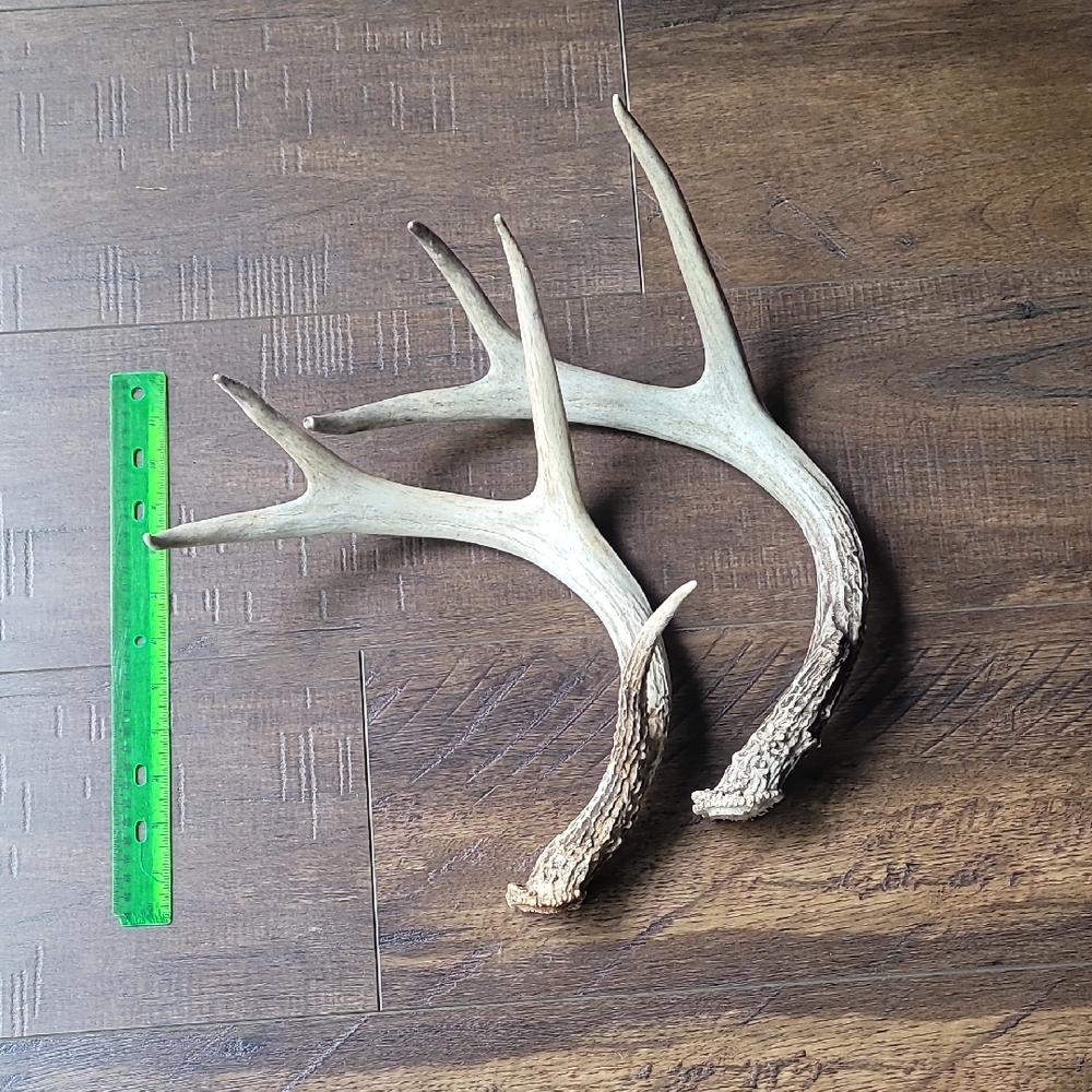 Rustic Brown Antler Decor